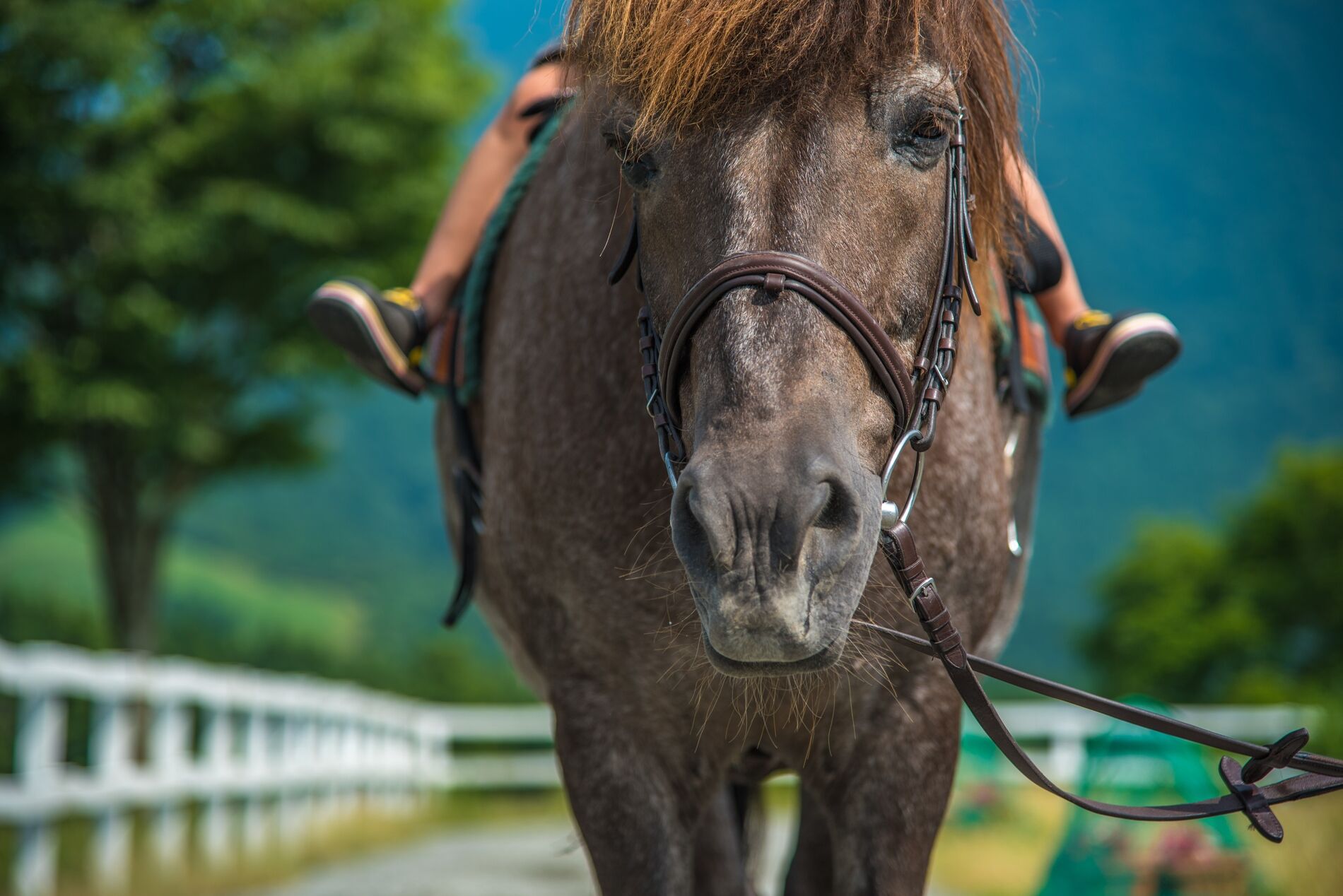 AdobeStock_163647201